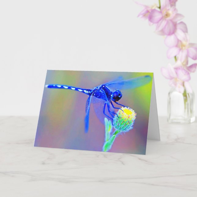 Cartão Dentro Vazio Dragonfly (Orquídea)