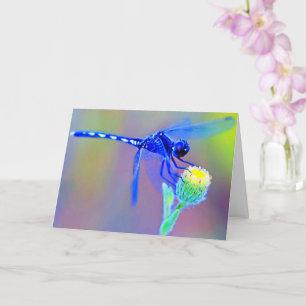 Cartão Dentro Vazio Dragonfly