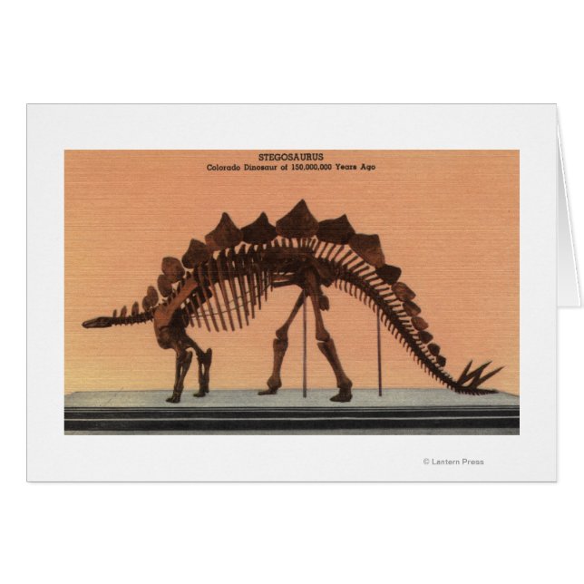 Cartão Denver, Colorado - Museu de História Natural 2 (Frente Horizontal)