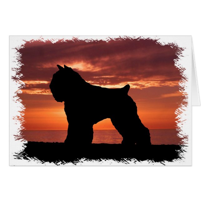 Cartão DES Flandres de Bouvier (Frente Horizontal)