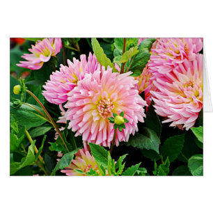 Cartão DES Plantes-3 de Jardin