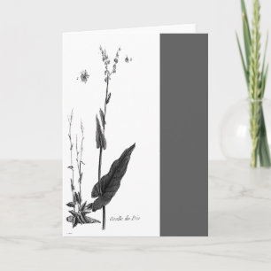 Cartão DES Prés de Oseille