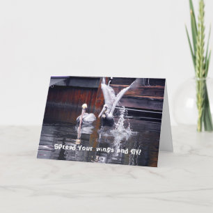 Cartão Desativação Pelicana