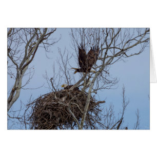 Cartão Desativado Para Mais