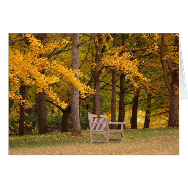 Cartão Descanso Por Enquanto (Frente Horizontal)