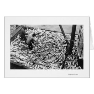 Cartão Descarregando salmões da fotografia dos barcos de