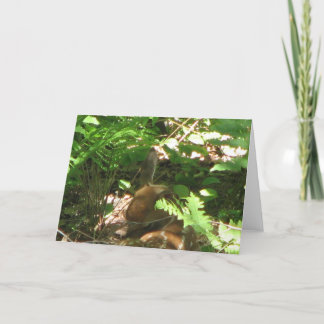 Cartão Descarte Fawn