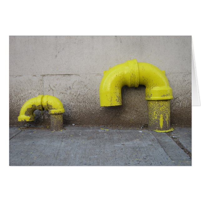 Cartão Descendência 5x7 (Frente Horizontal)