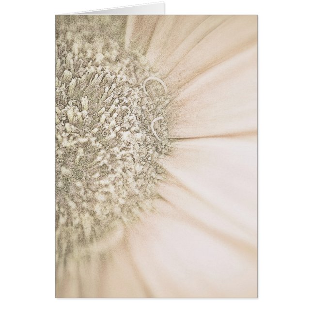 Cartão Descendo para Dourado (Frente)