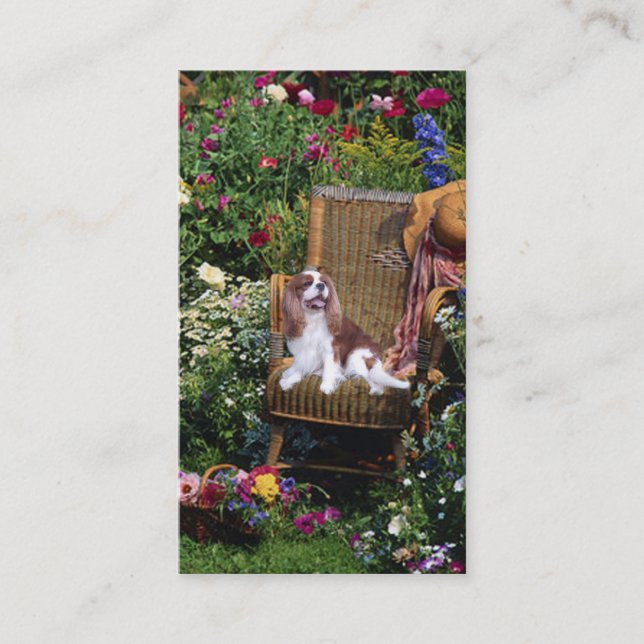 Cartão descuidado de BreederBusiness do Spaniel de (Frente)