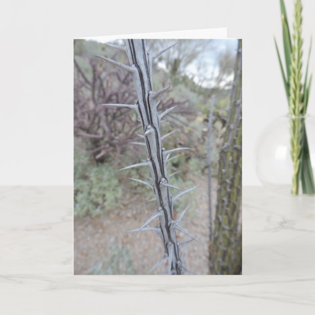 Cartão desculpa (Frente)