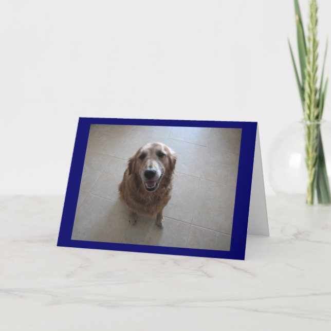 Cartão Desculpe! (Frente)