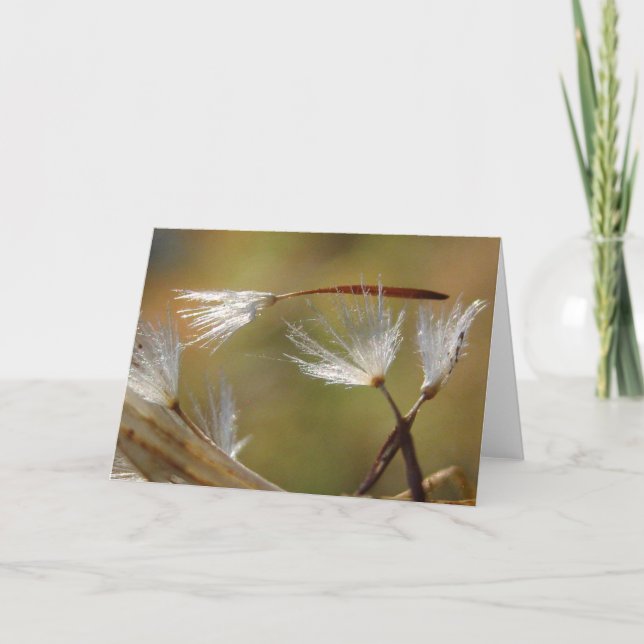 Cartão Desculpe pela Sua Perda Dente-de-leão Com Poema (Frente)