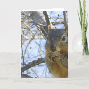 Cartão Desculpe, por Elenne Boothe