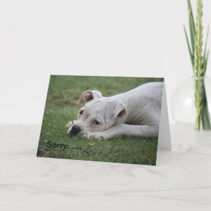 Cartão Desculpe por não se sentir tão bem.