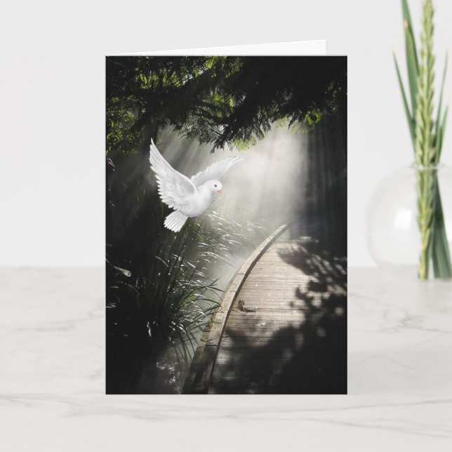 Cartão Desculpe por perda de simpatia com a pomba (Frente)