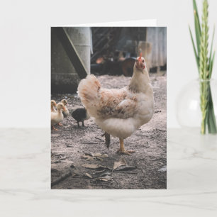 Cartão Desculpe por ser tão engasgado