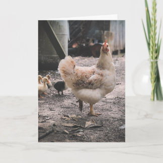 Cartão Desculpe por ser tão engasgado