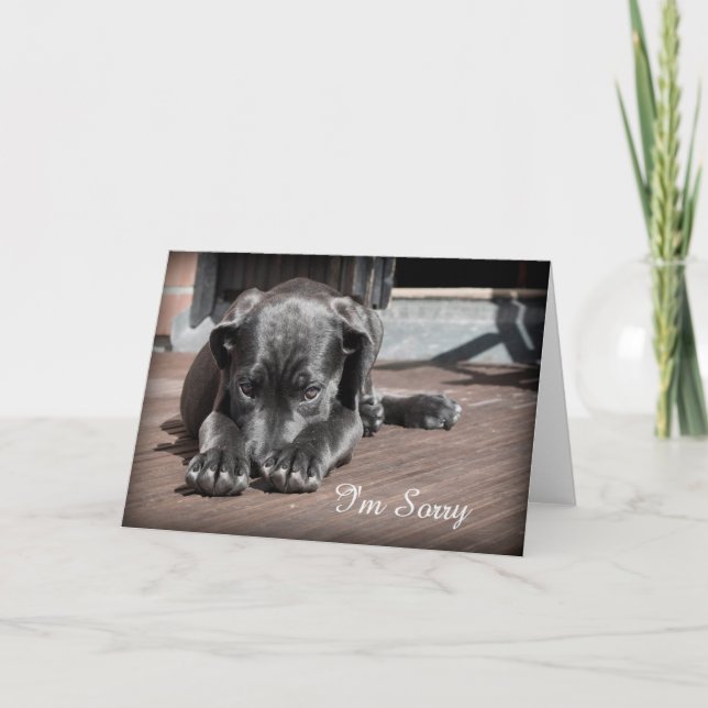 Cartão Desculpe, Puppy Greeting Card (Frente)
