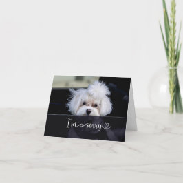 Cartão Desculpe, Vazio