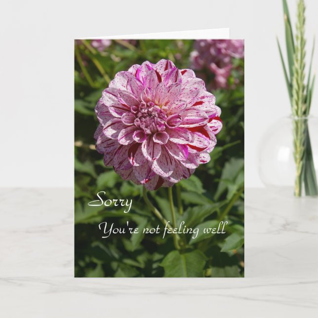 Cartão Desculpe, você não está se sentindo bem (Frente)