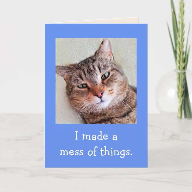 Cartão Desculpem, Bonita Desculpas De Gato (Frente)