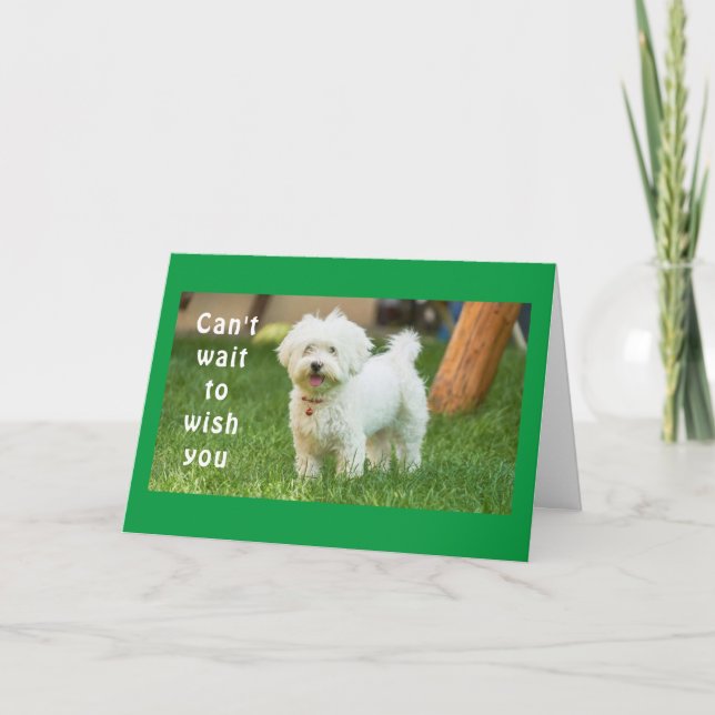 CARTÃO **DESEJA O MELHOR ANIVERSÁRIO DE TODOS** (Frente)