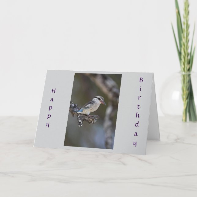 CARTÃO DESEJANDO UM FELIZ "ANIVERSÁRIO COMUM" COMPARTILHA (Frente)