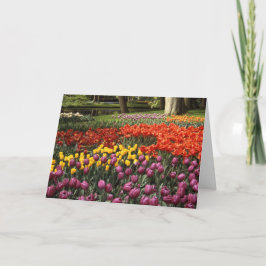 Cartão Desejo de Aniversário Tardio Jardim Keukenhof