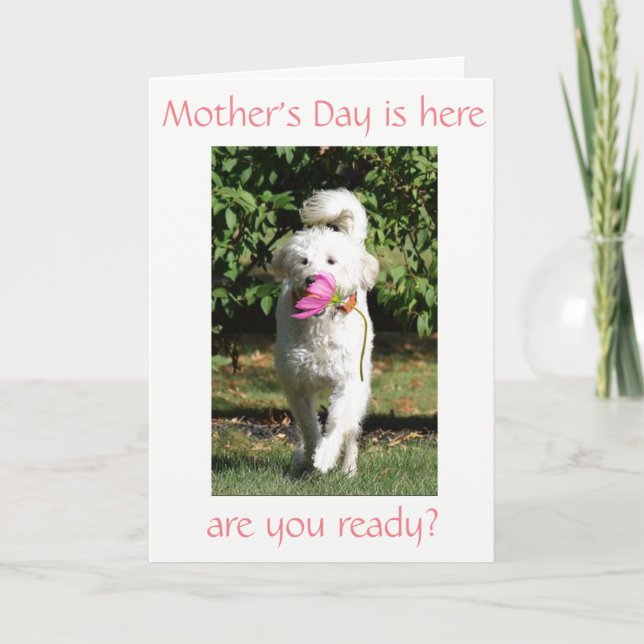 CARTÃO DESEJO ESPECIAL DE ***MOM*** NO DIA DE AS MÃES (Frente)