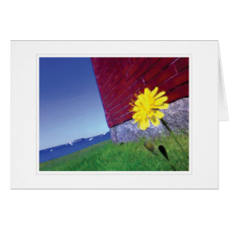 Cartão Desejos de amanhã