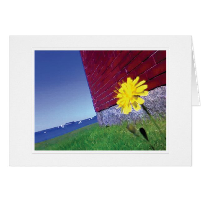 Cartão Desejos de amanhã (Frente horizontal)