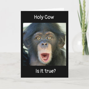 Cartão "DESEJOS DE aniversário de 40 anos" DE MACACACO SU