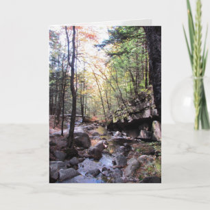 Cartão Desejos de Aniversário Tranquilo