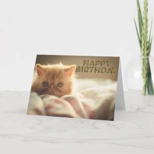 Cartão Desejos de gatinho suave