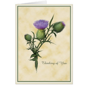 Cartão Desejos do Wildflower