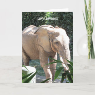 Cartão Desejos doces do aniversário do elefante