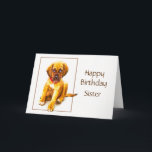 Cartão Desejos especiais feitos sob encomenda do filhote<br><div class="desc">Estes gatinho e eu pensamos você é especial e esperamos que seu dia é demasiado.   Irmã que do feliz aniversario você personaliza com arte bonito do animal do cão de filhote de cachorro</div>