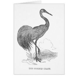 Cartão Desenho a caneta e tinta de grou vintage