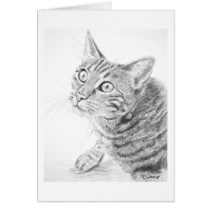 Cartão Desenho cinzento do gato de gato malhado