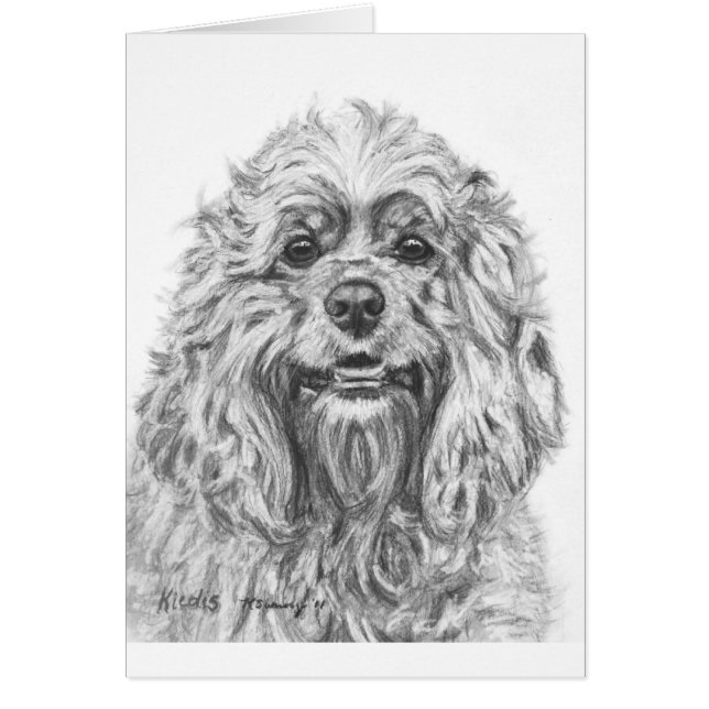 Cartão Desenho de carvão vegetal de cocker spaniel (Frente)