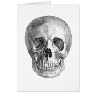 Cartão Desenho de esboço humano da anatomia do crânio
