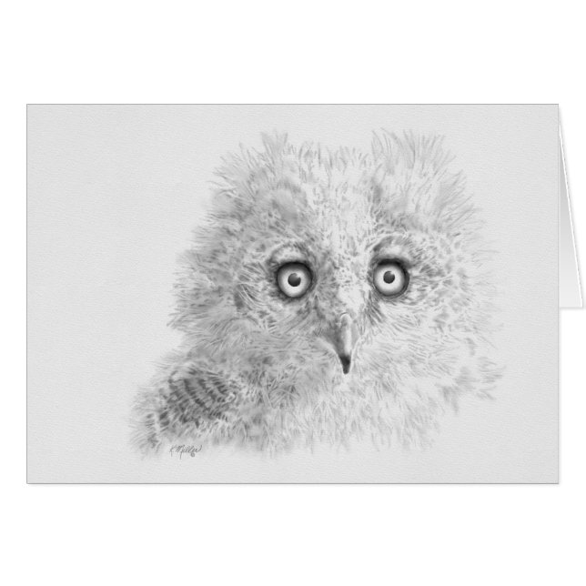 Cartão Desenho de Owlet excelente Corado (Frente Horizontal)