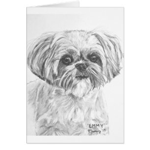 Cartão Desenho de Shih Tzu