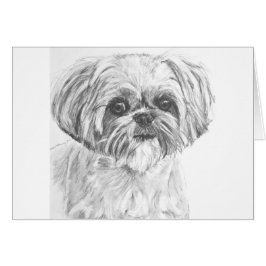 Cartão Desenho de Shih Tzu