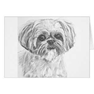 Cartão Desenho de Shih Tzu