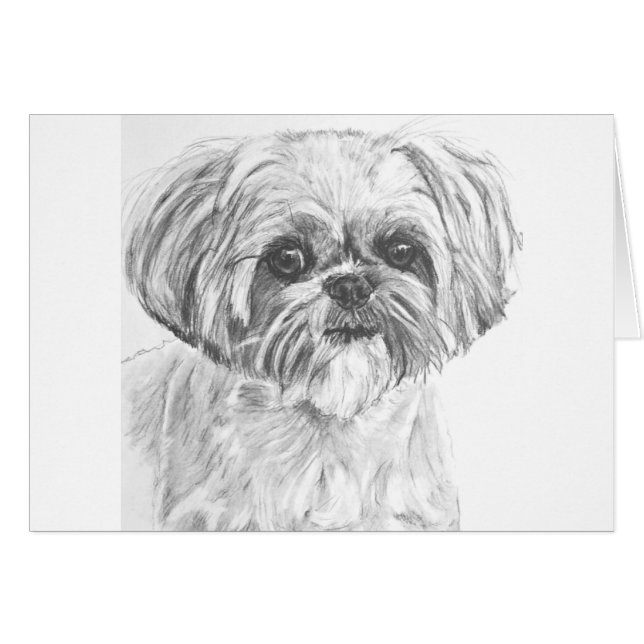 Cartão Desenho de Shih Tzu (Frente Horizontal)