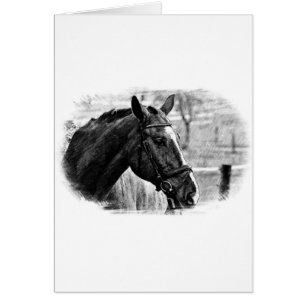 Cartão Desenho do Cavalo Branco Negro