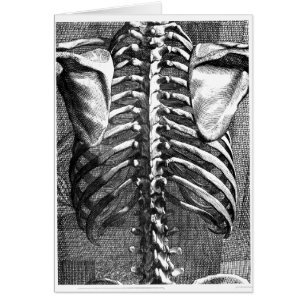 Cartão Desenho do vintage de uma espinha e de um ribcage
