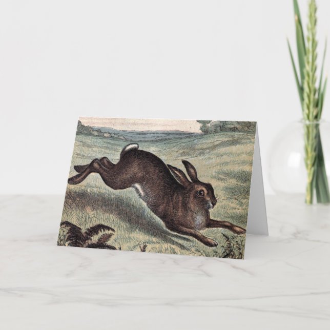 Cartão Desenho do vintage: Lebre Running em um campo (Frente)